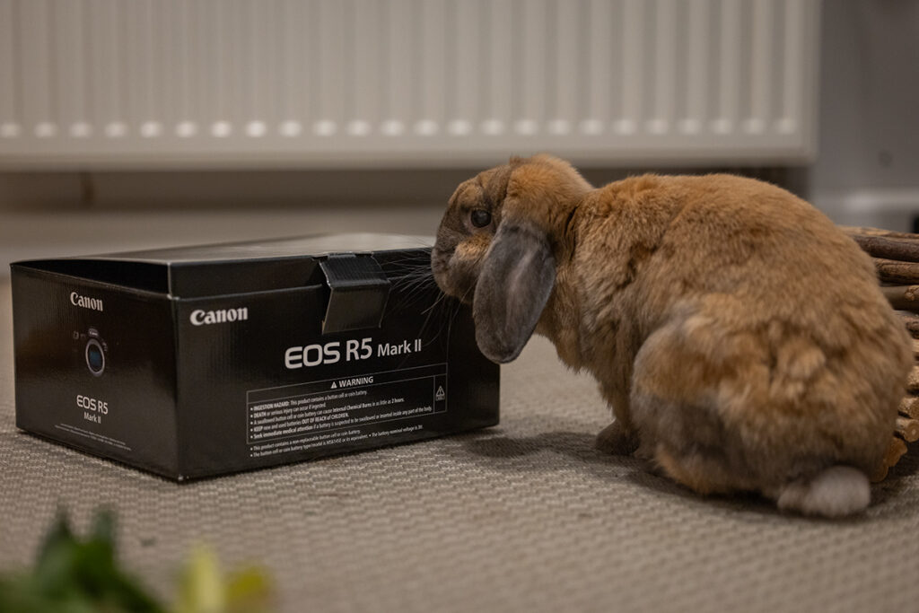 Rambo beim Unboxing der Canon R5 Mark II.