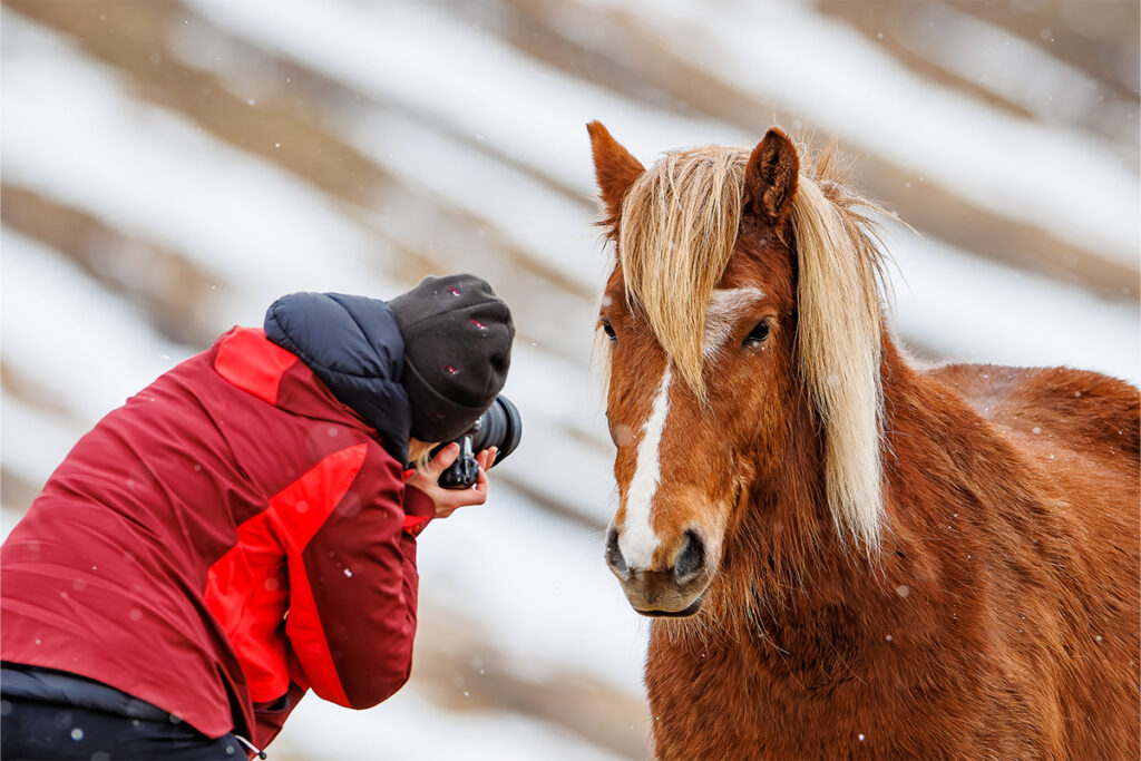 Anne Lindner beim Fotografieren eines Islandpferdes im Schneefall mit einer Canon R5. www.ran-an-den-fuchs.de