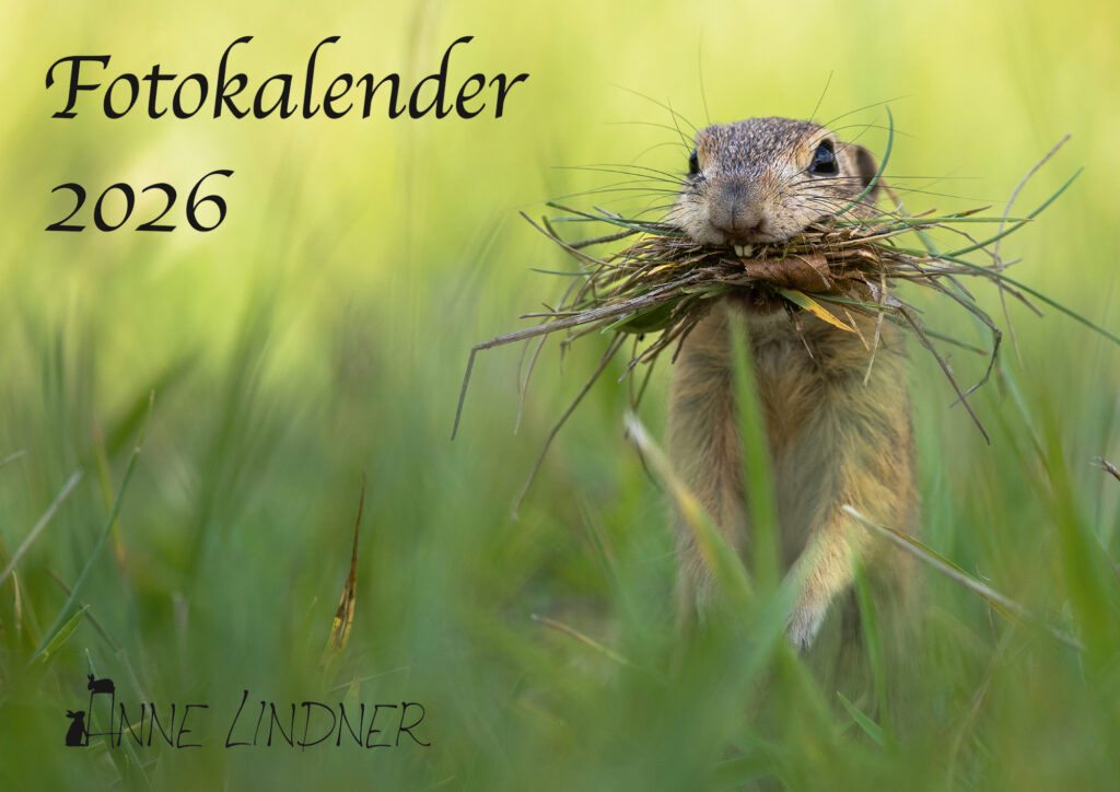 Fotokalender 2026 im A3 Format