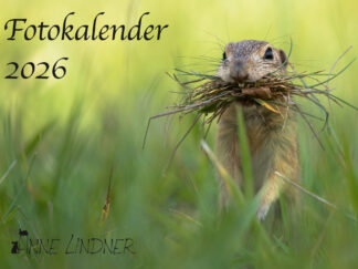 Fotokalender 2026