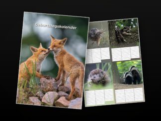 Geburtstagskalender mit 13 Wildlife-Motiven – Titelblatt und Monatsblatt