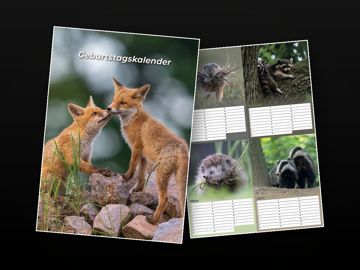 Geburtstagskalender mit 13 Wildlife-Motiven – Titelblatt und Monatsblatt