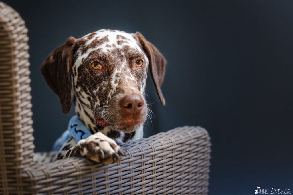 Kelly im Korbsessel, Portrait