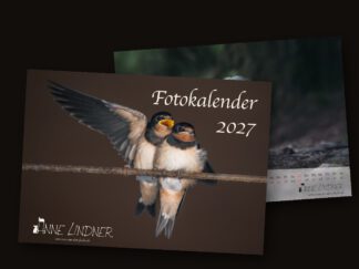 Fotokalender 2027 von Anne Lindner, A3 quer, Titelblatt und Monatsblatt